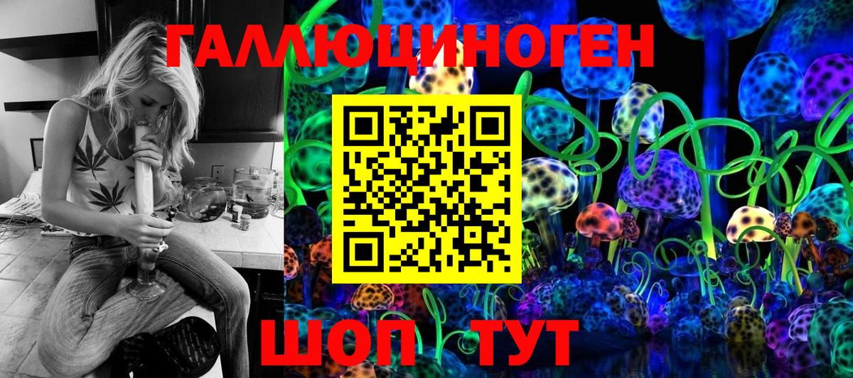 Рославль  Галлюциногенные грибы Psilocybine cubensis  Вход с VPN 